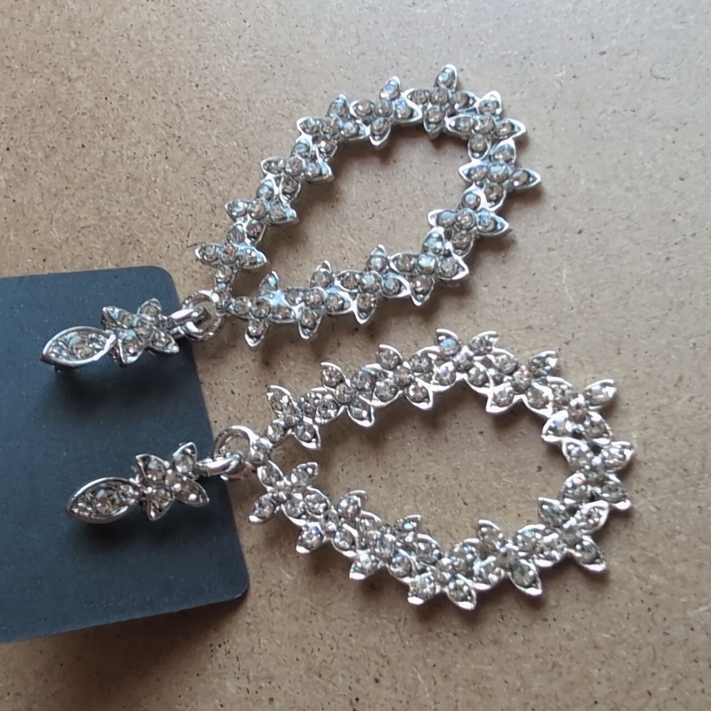 Elegant Silver Tone Drop Earrings